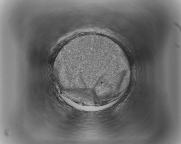 X0000098131494200805151103