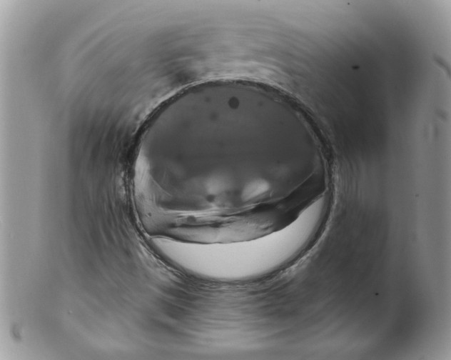 X0000098131497200805151103