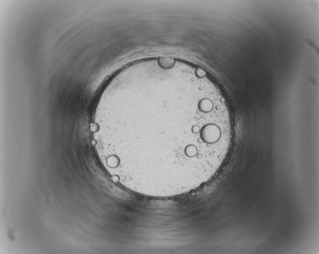 X0000098131498200805151103
