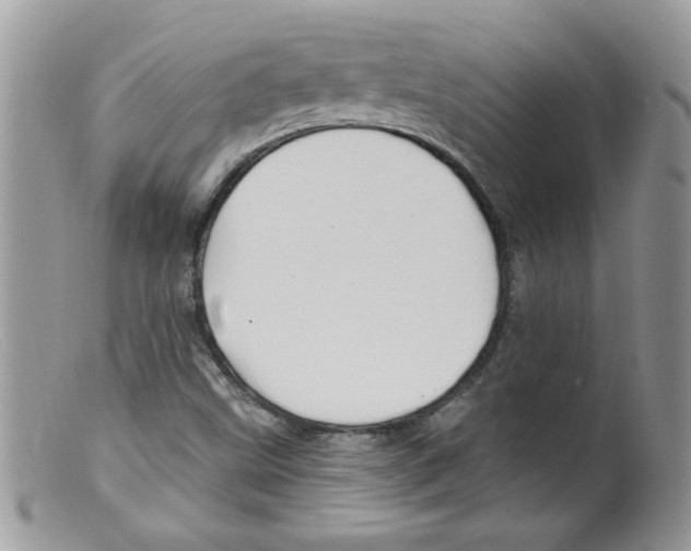 X0000098131499200805151103