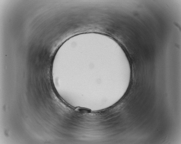 X0000098131500200805151103