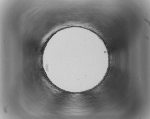X0000098131502200805151103