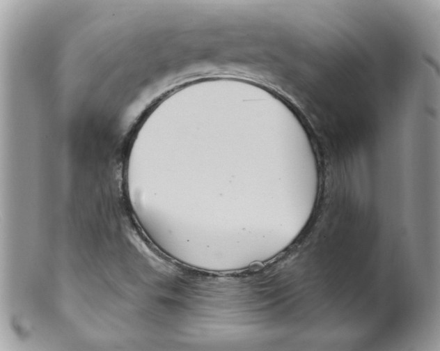 X0000098131503200805151103