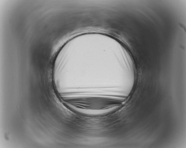 X0000098131504200805151103