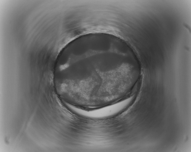 X0000098131505200805151103