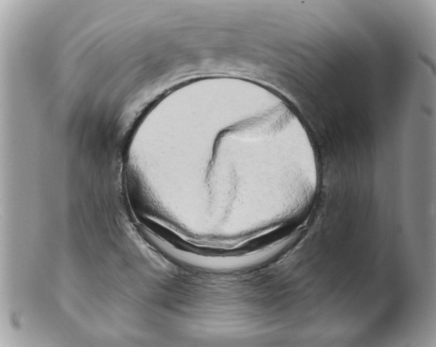 X0000098131507200805151103