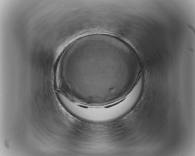 X0000098131508200805151103