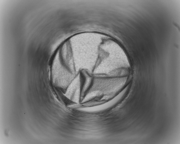X0000098131509200805151103