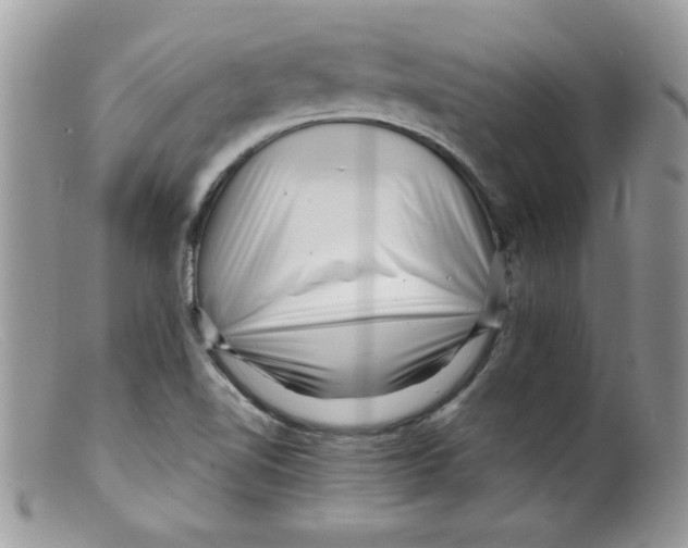 X0000098131510200805151103