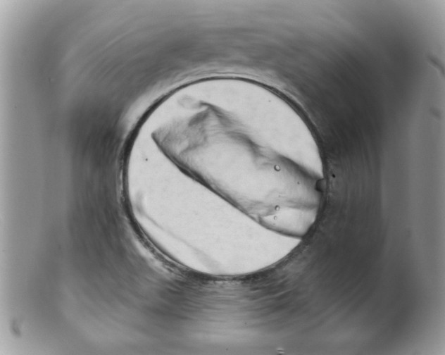 X0000098131511200805151103