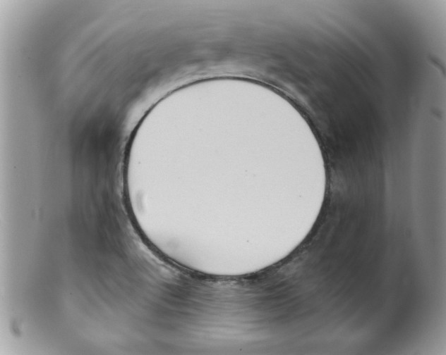 X0000098131512200805151103
