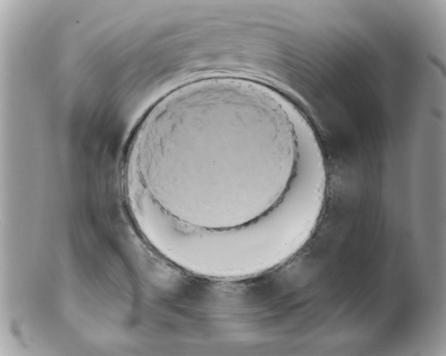 X0000098131514200805151103