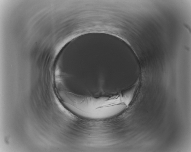 X0000098131515200805151103