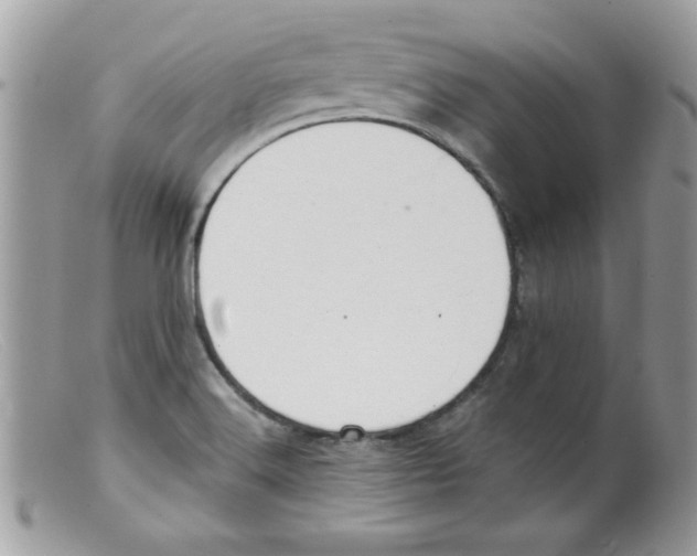 X0000098131516200805151103