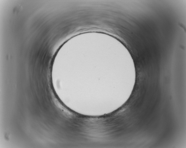 X0000098131518200805151103