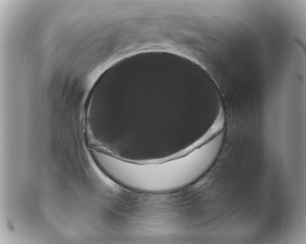 X0000098131519200805151103