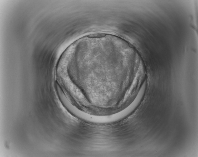 X0000098131520200805151103