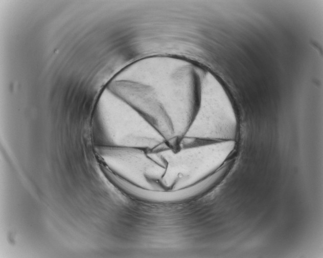 X0000098131521200805151103