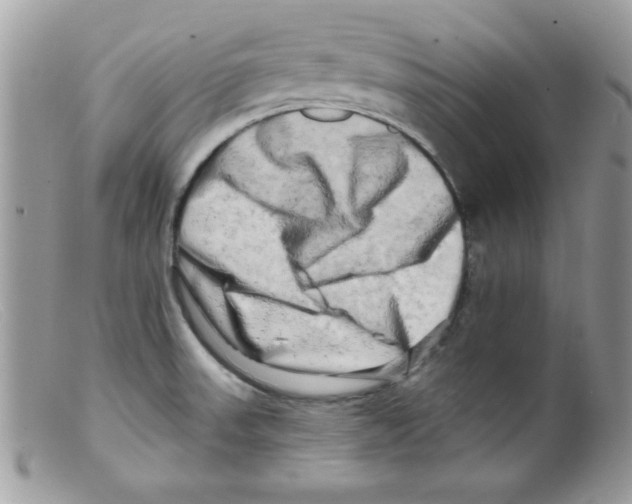 X0000098131523200805151103