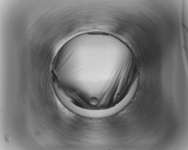 X0000098131524200805151103