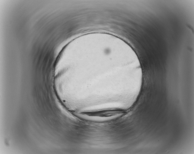 X0000098131526200805151103