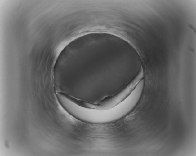 X0000098131527200805151103