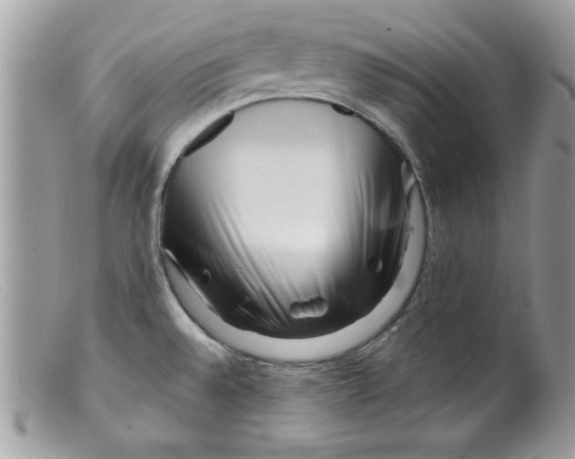 X0000098131528200805151103