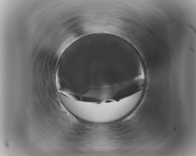X0000098131529200805151103