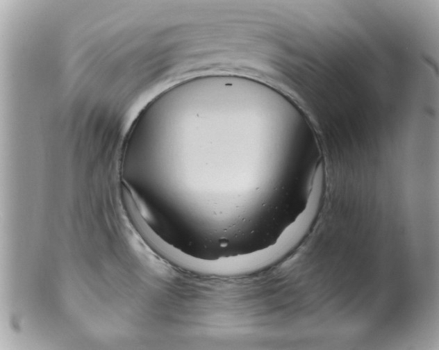 X0000098131530200805151103