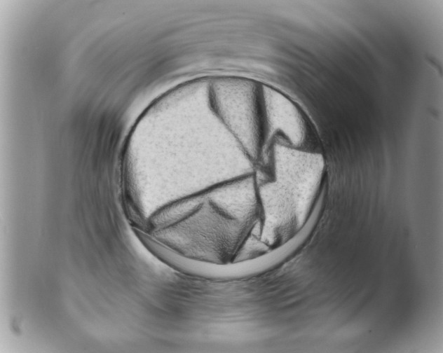 X0000098131531200805151103