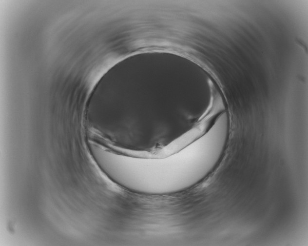 X0000098131533200805151103