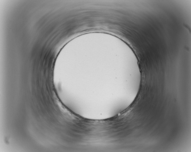X0000098131534200805151103