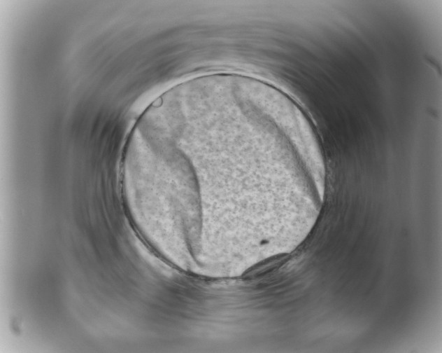 X0000098131535200805151103
