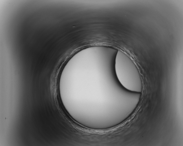 X0000098140002200804171130