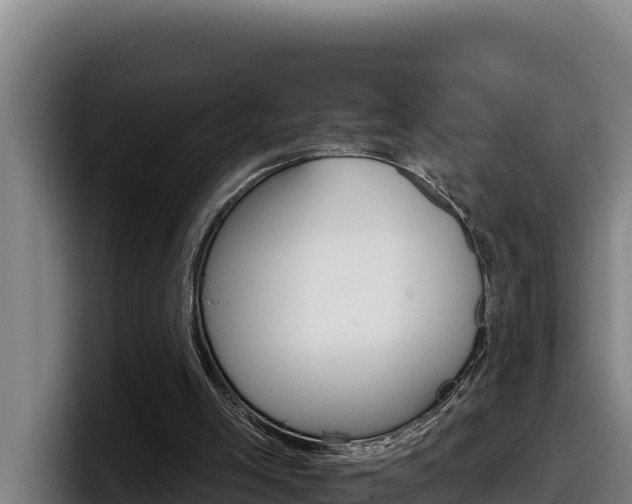 X0000098140005200804171130