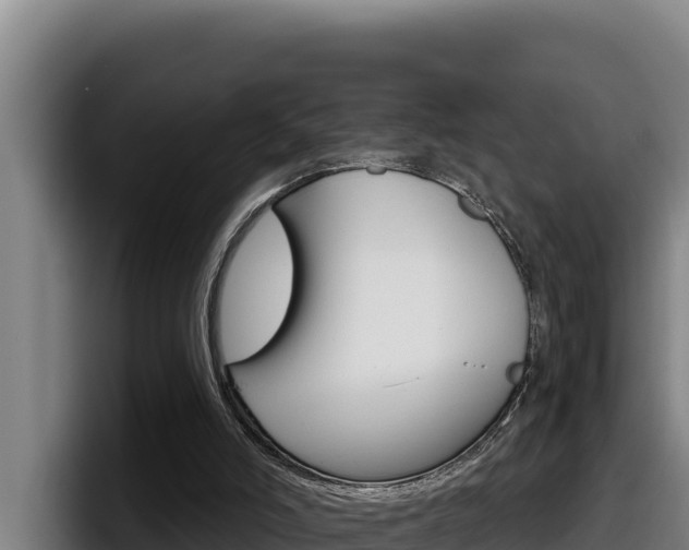 X0000098140006200804171130