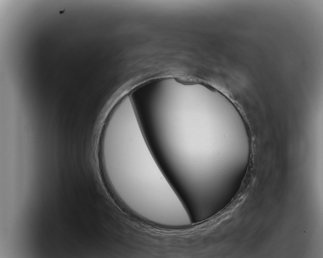 X0000098140007200804171130
