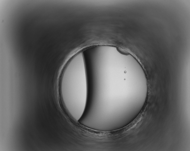 X0000098140008200804171130