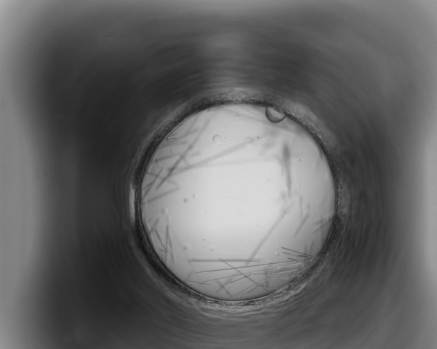 X0000098140014200804171130