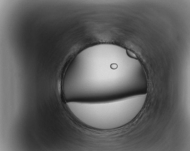 X0000098140019200804171130
