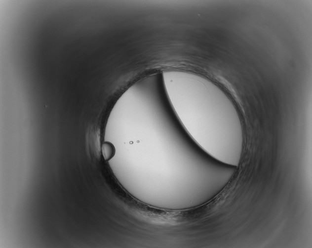 X0000098140020200804171130