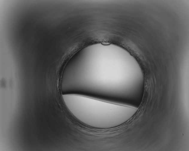 X0000098140023200804171130