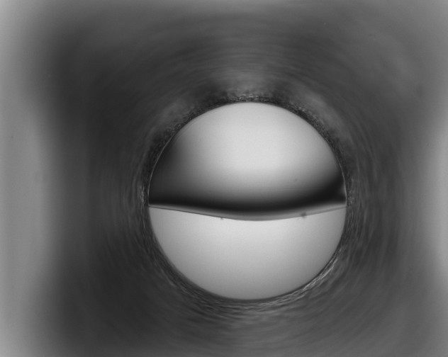 X0000098140025200804171130