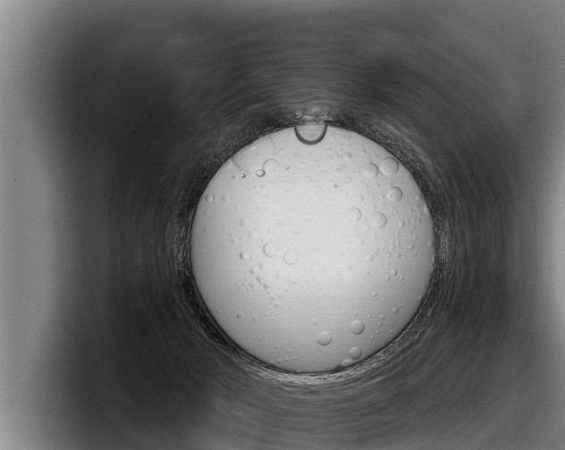 X0000098140030200804171130