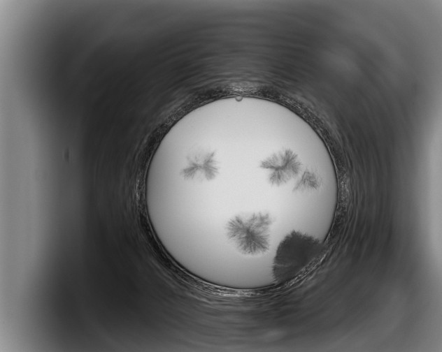 X0000098140032200804171130