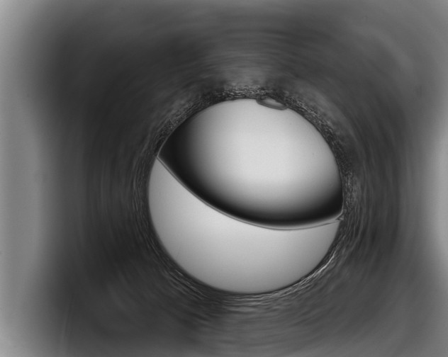 X0000098140033200804171130