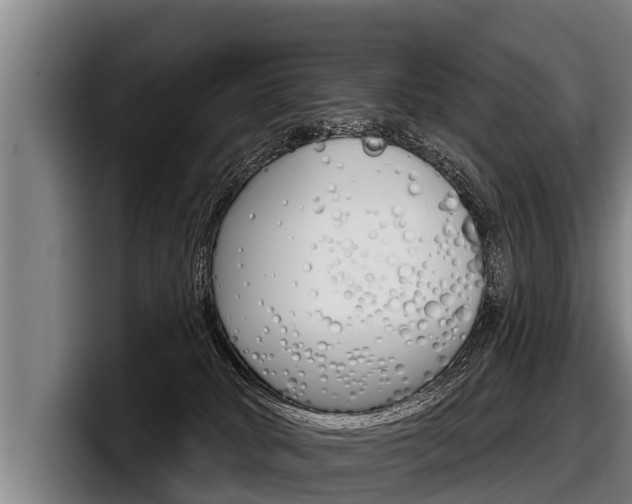 X0000098140034200804171130