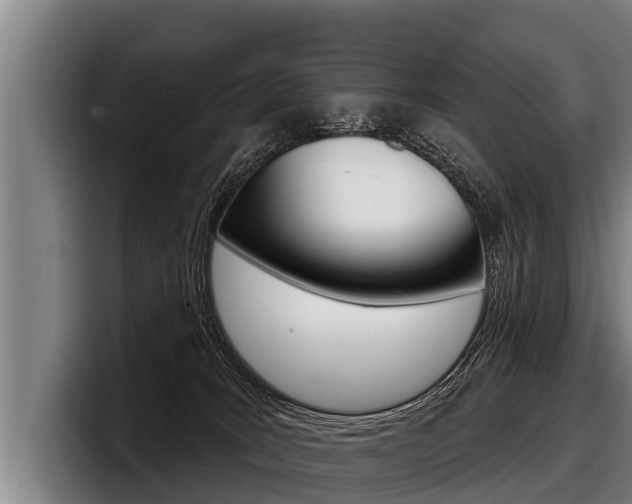 X0000098140035200804171130