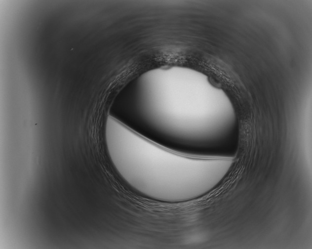 X0000098140039200804171130