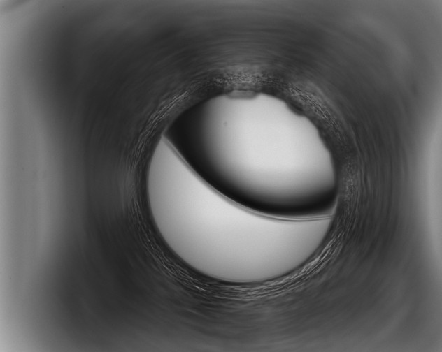 X0000098140041200804171130